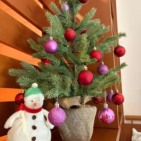 公寓 Cozy Bianca *